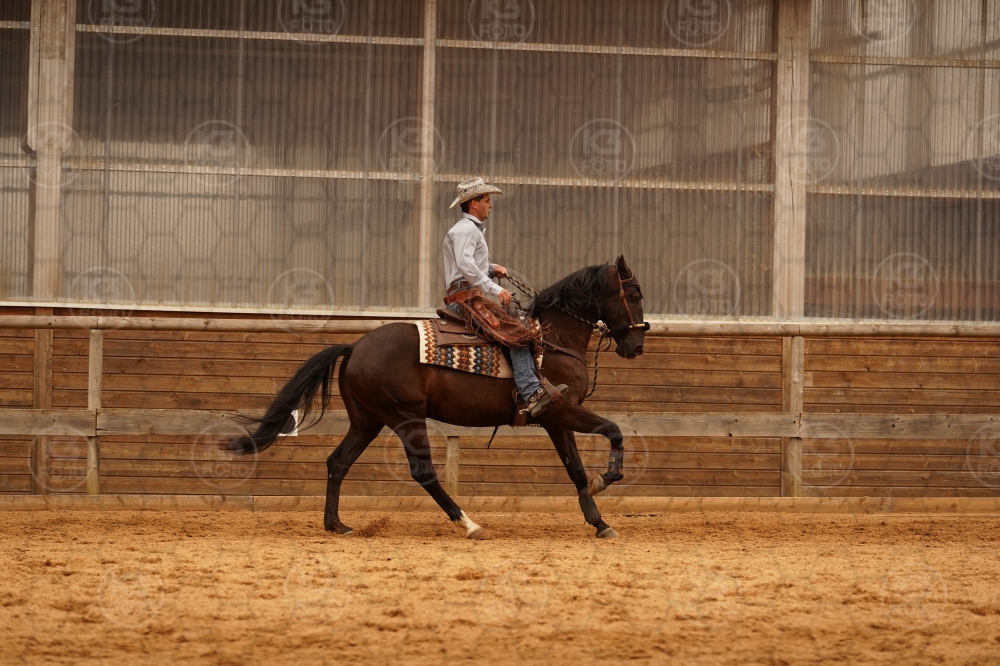 s_A9_09837.jpg